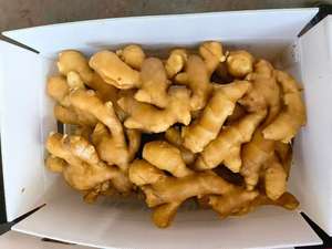 Органический сушеный свежий имбирный корень, сертифицированный GAP, по экономичной цене, в картонных коробках от 50 г до 20 кг, для использования в пищевой промышленности, прямые поставки с фермы из Китая - Product Image 3