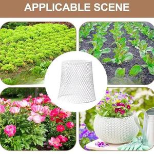 10 ensembles de cloches de protection pour plantes en grillage de jardin antirouille, empêchent les animaux d'entrer - Product Image 1