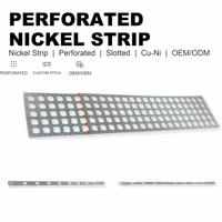 Bande de nickel perforée OEM avec motifs d'échelle à fentes pour connexion de cellules de batterie, fabrication sur mesure