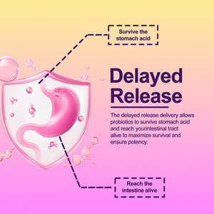 Cápsulas Probióticas de <span class=keywords><strong>Cranberry</strong></span> para Mulheres Adultas com Marca Privada OEM, 50 Bilhões de UFC para Melhorar a Imunidade - Product Image 6