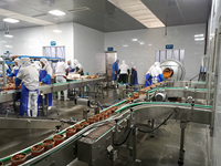 Machine de Production de poissons en étain, ligne de Production de thon, sous vide