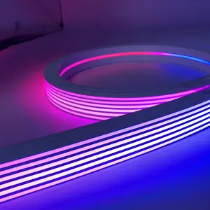 Verkopen Dikke Siliconen Led Flexibele Dmx Adressable Rgb 120V Neon Strips Licht