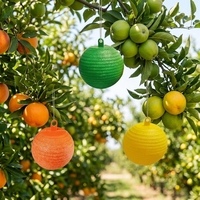 Kleverige insectenholle bal met fruitvliegferomoon Waterdichte plastic lijmvanger Boomgaard Hangende kleefvliegenvanger Niet-giftig