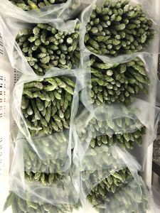 Idéal pour les plateaux de légumes variés, combinaison d'aliments surgelés assortis, ingrédients à assortir, asperges surgelées - Product Image 6