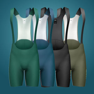 燕子有竞争力的价格无缝黑色蓝色绿色反光标志公路自行车围兜短裤 - Product Image 1