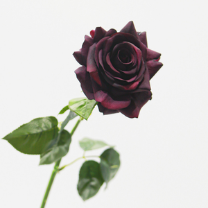 Grande rose artificielle à tige unique, toucher réaliste, hydratante, pour la décoration <span class=keywords><strong>de</strong></span> mariage, <span class=keywords><strong>de</strong></span> la maison et du salon - Product Image 4