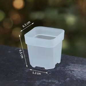 Maceta transparente para plantas, maceta con autorriego, orificios de drenaje, contenedor para propagación de plántulas, accesorios para el hogar y el jardín, 6,5 CM - Product Image 3