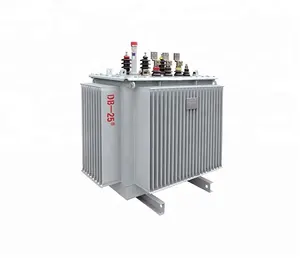 10kv 315kva Hot Sale Oil-immersed Power Station Transformer With Certificate 10 Copper Three Phase Transformer Oil Cooling