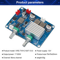 VIRE 100W Mini amplificateur haute puissance basse Mono canal carte amplificateur numérique TPA3116 classe D Module caisson de basses numérique Audio