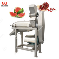 Gelgoog Koudgeperste Litchi Lychee Sapmachine Commerciële Kersen Baobab Amla Sapmachine