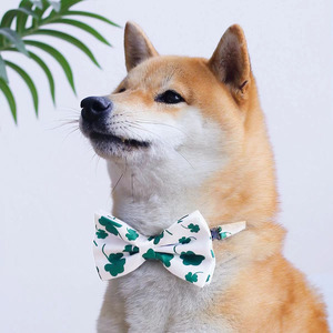 Pajarita Verde Esmeralda para Perro, Ajustable y Elástica, para Shiba Inu y Corgis, Accesorio Novedoso para Mascotas - Product Image 3