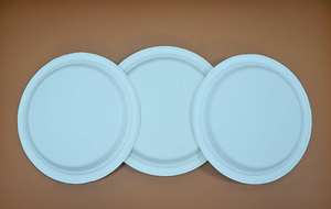 Biodegradable Sugarcane Compostable Paper <b>Plates</b> 10 Inch Eco <b>White</b> Bagasse <b>Set</b> of 100 - Product Image 4