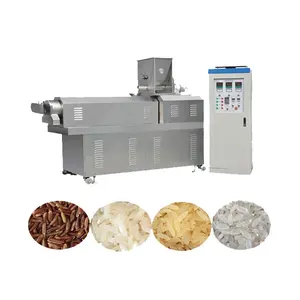 twin screw extruder instant rice production line Nutrition rice making machine in India