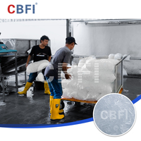 Máquina de Hielo en Tubo de 30 Toneladas por Día con PLC, Filtro de Agua y Sistema de Empaque