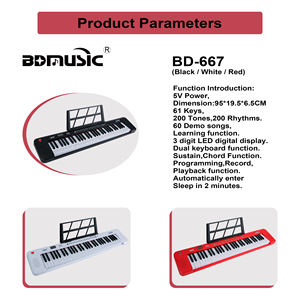 Orgue électronique portable BD MUSIC 61 touches, clavier d'instruments de musique pour étudiants, piano numérique en vente - Product Image 3