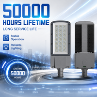 Luminaire LED de 250W pour éclairage public avec plusieurs distributions de faisceaux, IP66, pour larges allées et grandes surfaces extérieures