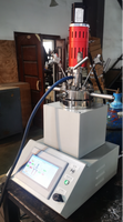 Reactor de Síntesis Hidrotermal Química con LED, Autoclave Industrial de 100ML de Alta Presión con Agitación Automática