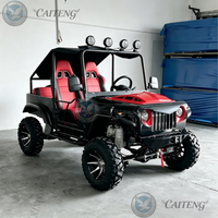 Vente en gros de mini-jeeps à essence 250cc, 350cc, 200cc, 300cc, 4x4, 4WD, mini-jeeps électriques pour adultes, buggy de plage, mini-jeeps tout-terrain
