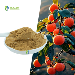 SLBIO fournit <span class=keywords><strong>de</strong></span> la poudre d'extrait <span class=keywords><strong>de</strong></span> fruit <span class=keywords><strong>de</strong></span> kaki <span class=keywords><strong>de</strong></span> haute qualité 10:1, qualité alimentaire - Product Image 3
