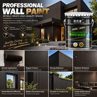 Peinture murale décorative intérieure noir profond, haute couvrance, à base d'eau, pour la décoration intérieure résidentielle et commerciale