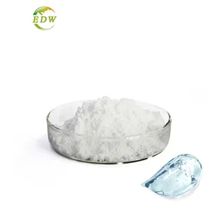 99% Hyaluronic Acid Powder Sodium Hyaluronate Powder HA Powder for Skin Care