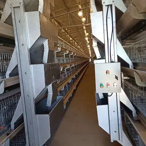 3 Tiers And 4 Tiers Automatic Battery Broiler Cage For Poultry Farm