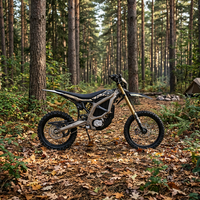 Vélo tout-terrain Ultra Bee 318 mm de hauteur au sol, pente maximale de 80 %, absorption des chocs de 240 mm, parfait pour la boue, la roche, le sable et les sentiers raides