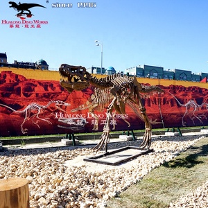 Mô Hình Bộ Xương Khủng Long Chất lượng cao cho Bảo tàng Khủng Long - Product Image 4