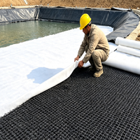Plaque de drainage géotextile 3D en HDPE - Panneau de rétention d'eau bleu pour toiture - Pour projets d'ingénierie civile, barrages et jardins - Échantillon gratuit