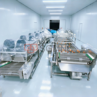 Automatische aardbeienwasmachine met continue doorstroming, 500 kg/uur, voor de verwerking van diepvriesaardbeien.