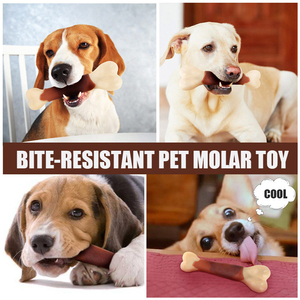 Cómo vender bajo MOQ perro juguete hueso forma mordedura resistente masticar juguetes para perro - Product Image 5