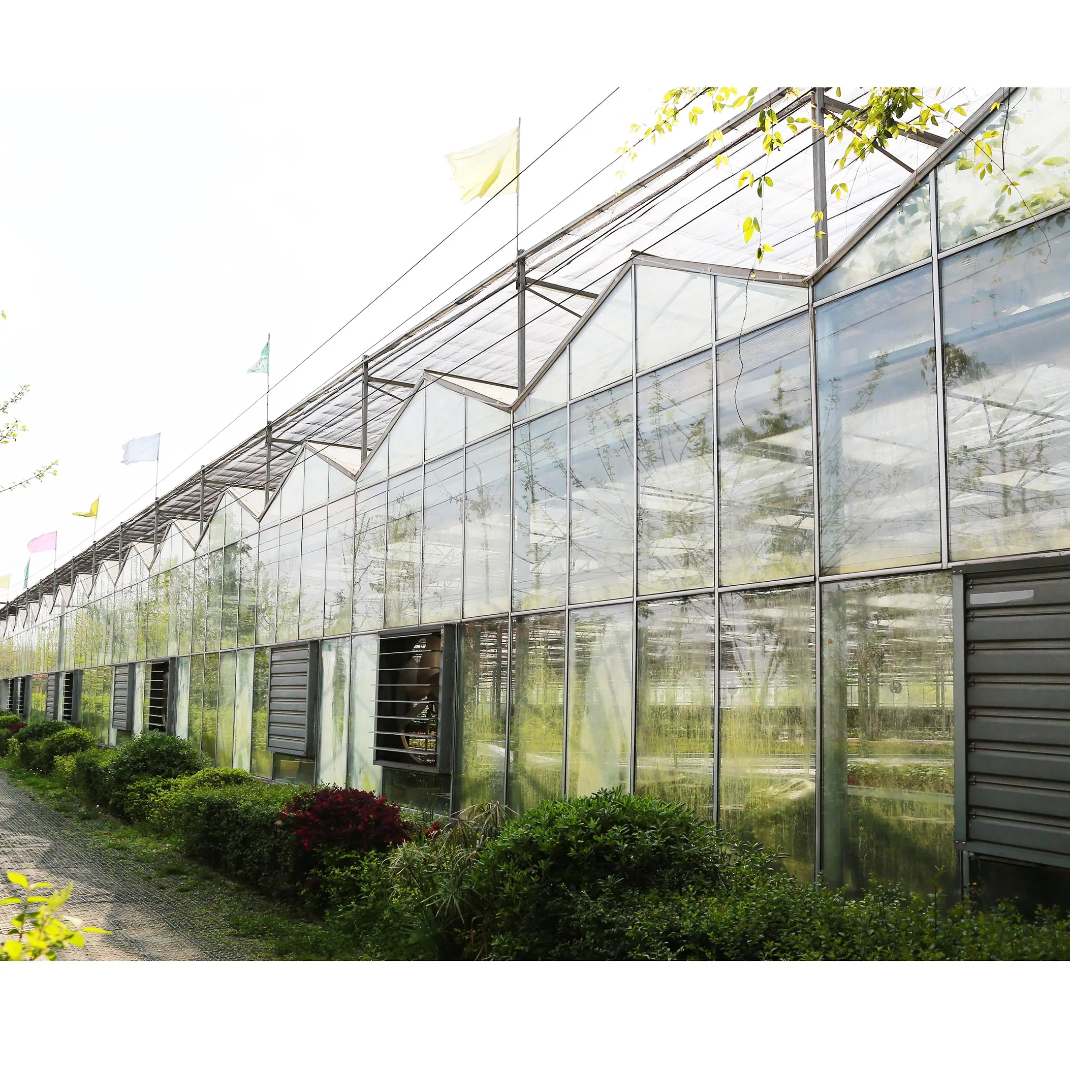 Großes kommerzielles Venlo-Glas gewächshaus mit mehreren Spannweiten