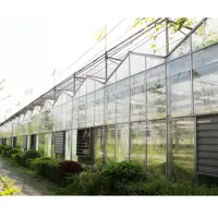 Large Multi-Span Commercial Venlo Glass Polycarbonate Greenhouse with Seedbed Hydroponic for Tomato Strawberry