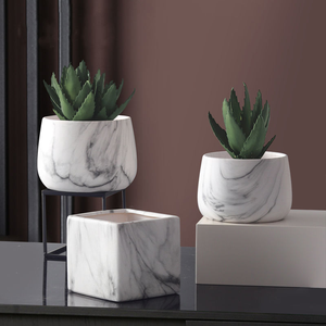 Groothandel 5 maten keramische bloempotten met hout/marmer/gouden aderdesign, tuinbouwplantenbak voor plantengroei binnen en buiten - Product Image 5