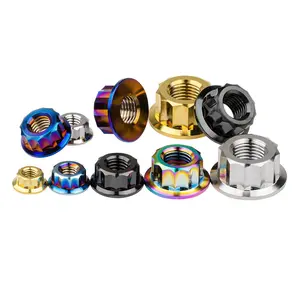 High Strength GR5 Titanium Alloy Bolts and Nuts OEM Special Customized Titanium Gr5 TA2 TC4 Anodized 12 Point Flange Nuts