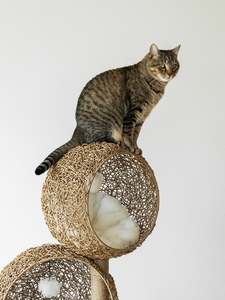 Promotion : Arbre à chat tressé à 3 niveaux avec nid en osier, condo, griffoir en sisal et coussin en peluche douce – Meuble pour animaux de compagnie – Vente en gros - Product Image 2