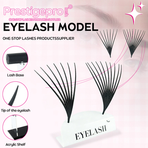 Kit de formation pour l'application de <span class=keywords><strong>cils</strong></span> en boucles, vente chaude, modèle de <span class=keywords><strong>cils</strong></span> pour les écoles de formation, les institutions, les démonstrations d'enseignement - Product Image 4