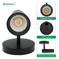 Projecteur LED Commercial Étanche sur Rail, Montage en Surface, Intérieur, Dimmable, pour Aménagement Paysager, 12W 20W, pour Maison