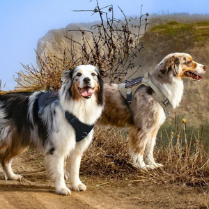 Harnais tactique respirant pour chien de taille moyenne à grande, harnais d'entraînement pour animaux de compagnie en Oxford durable, pour la randonnée en plein air, <span class=keywords><strong>gilet</strong></span> <span class=keywords><strong>K9</strong></span> - Product Image 5
