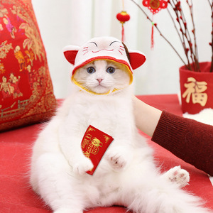 Cute Embroidered Pet <b>Hat</b> Felt Winter Headwear For <b>Cats</b> Dogs Small Animals - Product Image 3