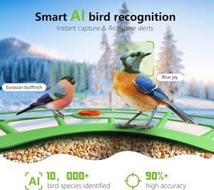 Ama-zon Offre Spéciale Mangeoire à oiseaux intelligente solaire personnalisée Caméra WIFI Réduction du bruit 2D/3D Détection de mouvement PIR Mangeoire à oiseaux intelligente - Product Image 3