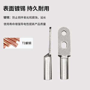 ขั้วต่อสายทองแดงแบบมีรูสองรู ชุบดีบุก สำหรับเชื่อมต่อสายเคเบิลคลาส A - Product Image 2