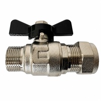 Raccord de compression en laiton EN1254-2 avec poignée papillon nickelée, connecteur de tuyau de 22 mm à filetage mâle, vanne à boisseau sphérique