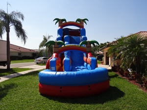25 ft cao trượt nước Inflatable trượt bãi biển phía Nam Inflatable nước Bouncer trượt - Product Image 3