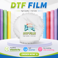 Impression par transfert thermique DTF (Direct to Film) pour accessoires de sérigraphie DIY pour vêtements personnalisés ODM