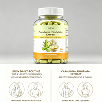 Capsules d'extrait de Caralluma Fimbriata en marque privée OEM, 60 unités, avec complément alimentaire au thé vert