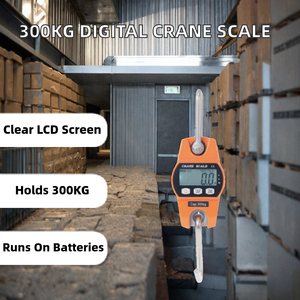 ميزان رافعة رقمي محمول عالي الجودة بشاشة LCD سعة 300 كجم مع وظيفة التعليق، قابل للتخصيص حسب الطلب مع خاصية البلوتوث - Product Image 2
