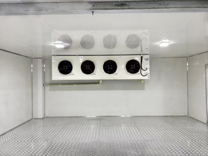 Groothandel 10 & 20 Feet Walking Koelkast Container Automatische Motor Voor Vlees & Plantaardige Koude Opslagruimte - Product Image 4