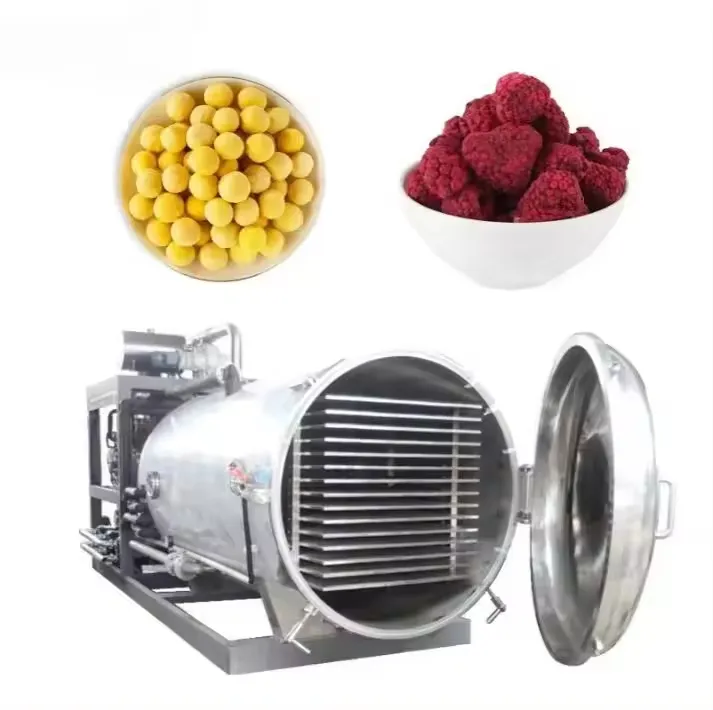 Ticari sebze donmalı kurutucu gıda meyve sığır meyve tozu işleme makinesi vakum dondurulmuş kurutucu