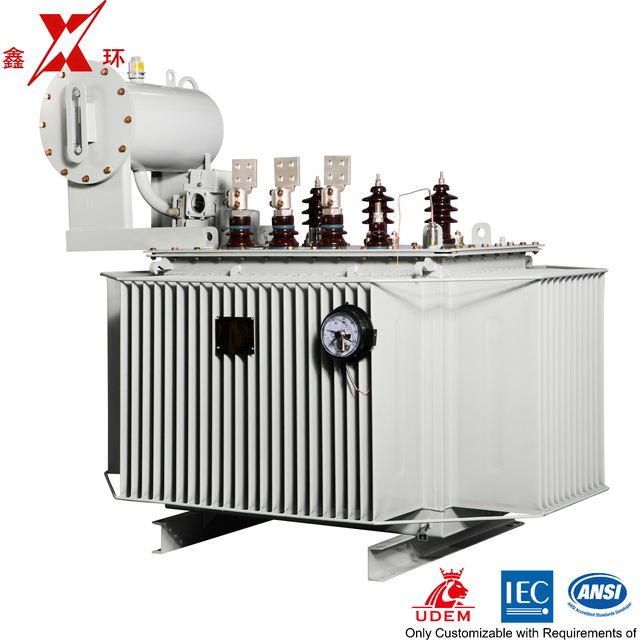 630kVA Three-Phase 10kV Oil Immersed Toroidal Coil Copper Winding Transformer for Solar Power Station with High Efficiency
